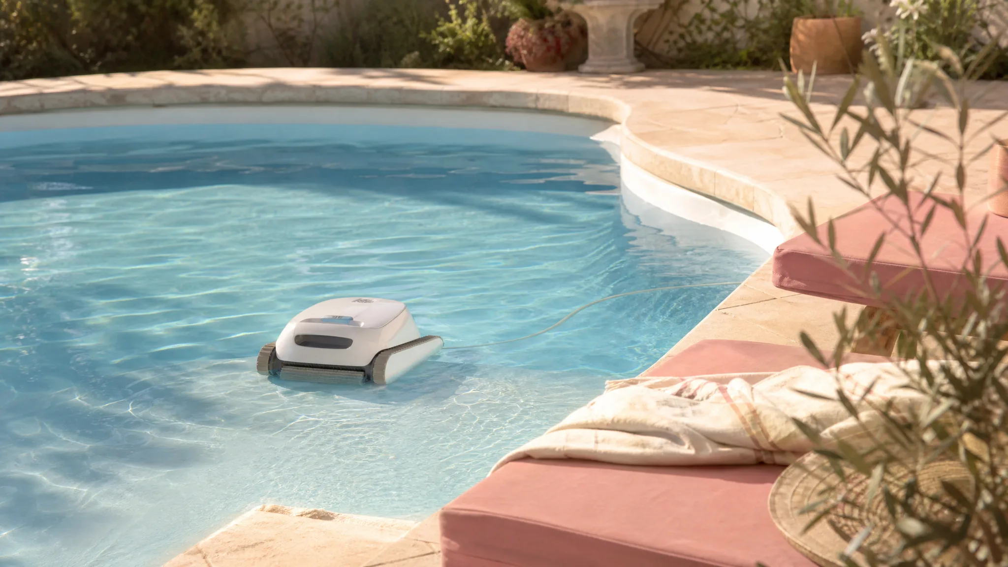 Dolphin Proteus DX3 Review: Wall Climb Pool Clean After Weeks
