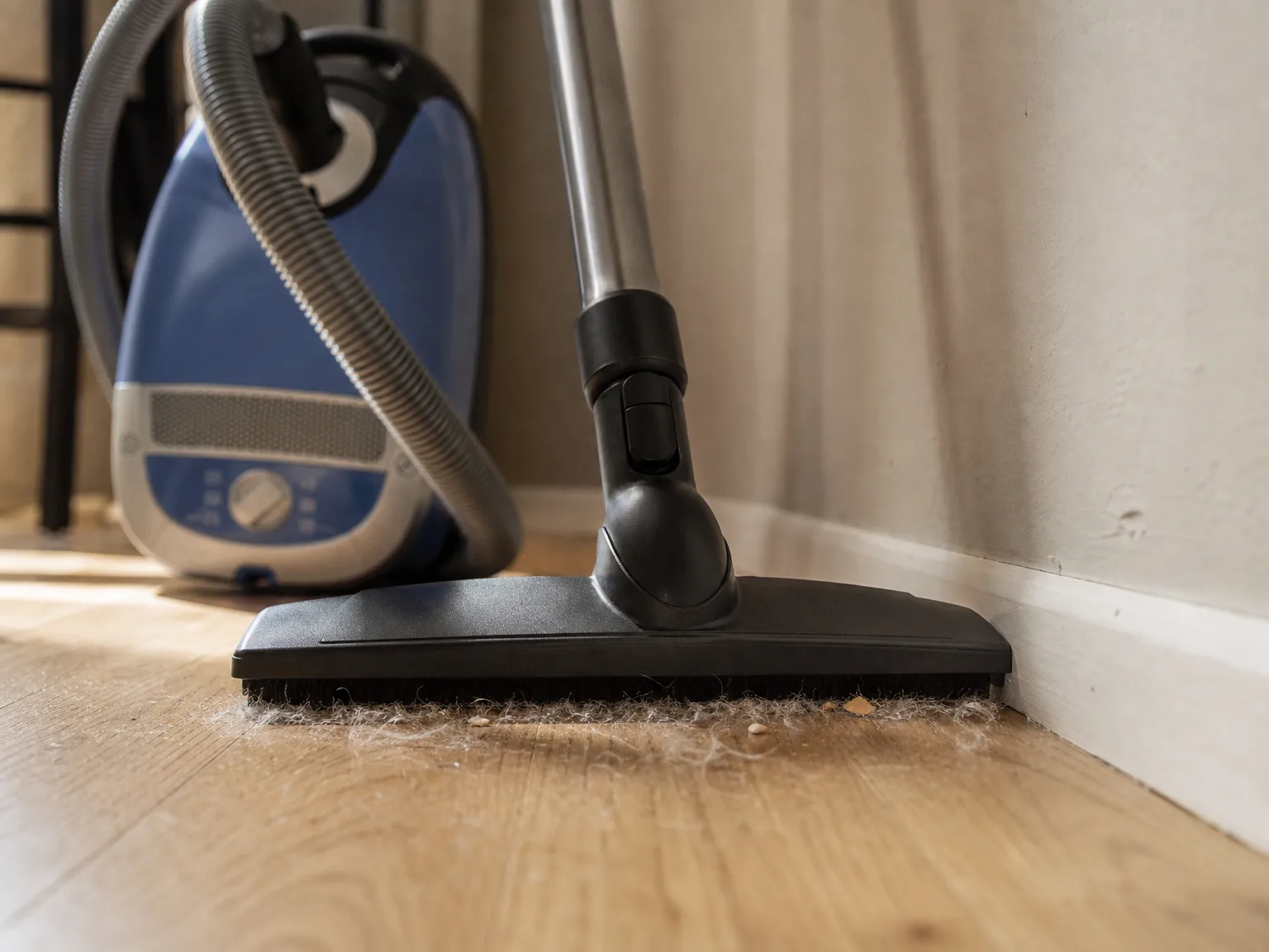 Close-up of a wide canister vacuum floor brush gliding along white oak flooring beside a painted baseboard with pale pet hair gathering ahead of the bristles